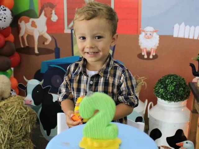 Aniversário de Aniversário: Fazendinha do Enzo