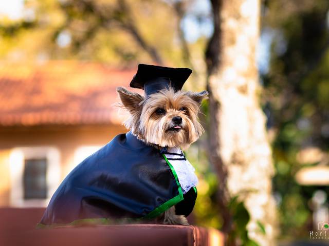 Formandos  de Ensaio de Formatura 