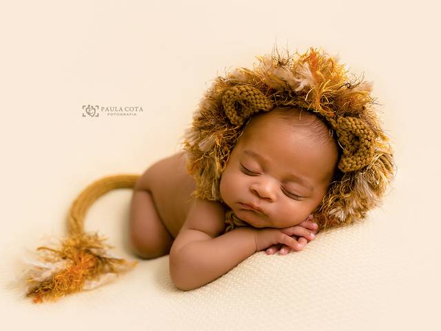 Newborn de Bento - 50 dias