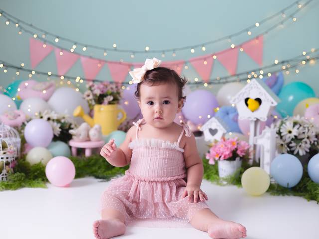 Smash de Manu - Smash the cake (Jardim de passarinhos)