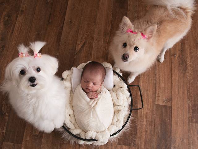 Newborn de Newborn Heitor