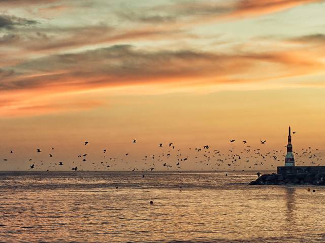 Sessão  de Bruna e Nuno