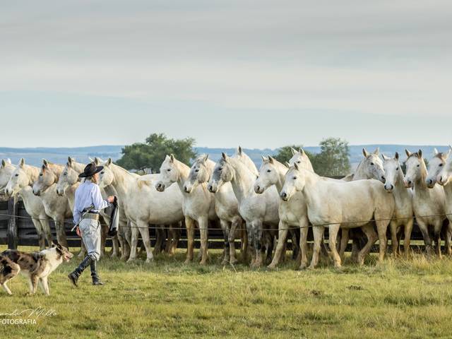 Rural de PRODUÇÃO DE IMAGENS