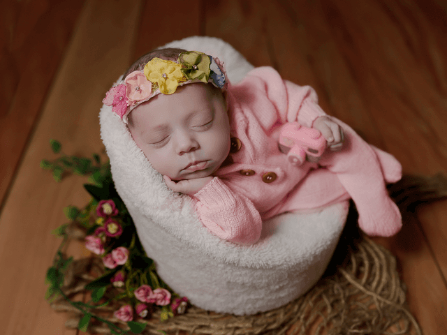 Gestante de Lavinathalia