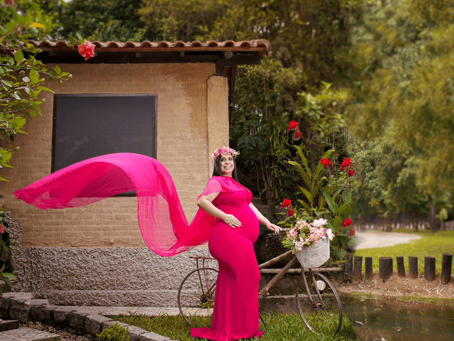 Gestante de Vanielle