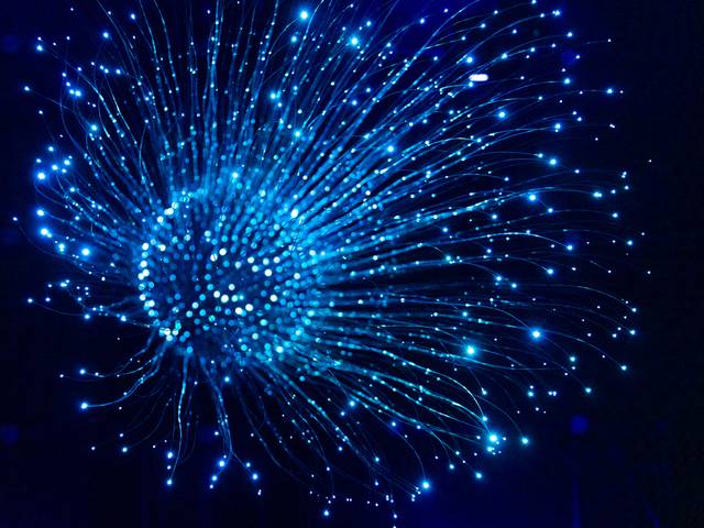 Corporativo de ThermoFisher Scientific/PPD . Confraternização Fim de Ano 