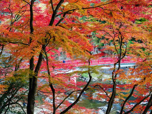 FOTOJORNALISMO de Korankei