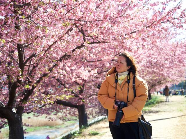 ENSAIO FOTOGRÁFICO de Sakura