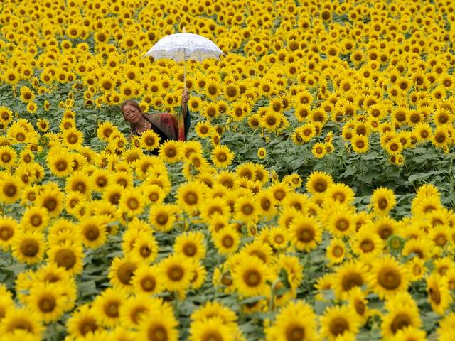 ENSAIO FOTOGRÁFICO de Hana-Hiroba