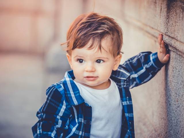 Ensaio de Família de Ensaio família Pollini