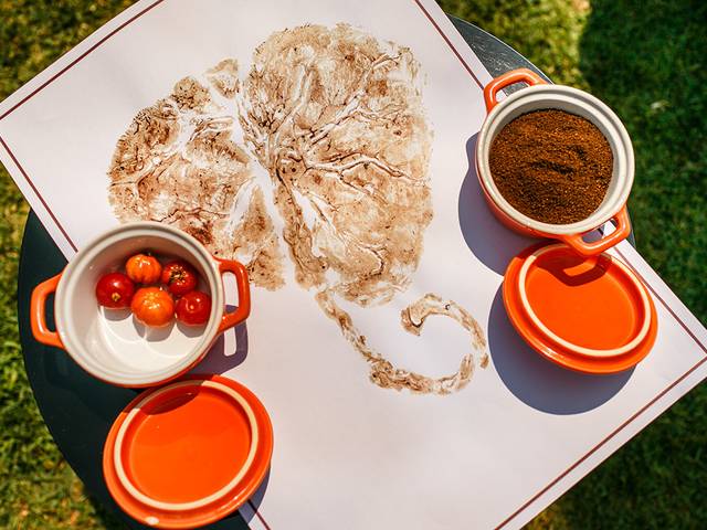 Família - Um Dia na Vida de Maya e o Plantio da sua Placenta como um Ritual de Batismo