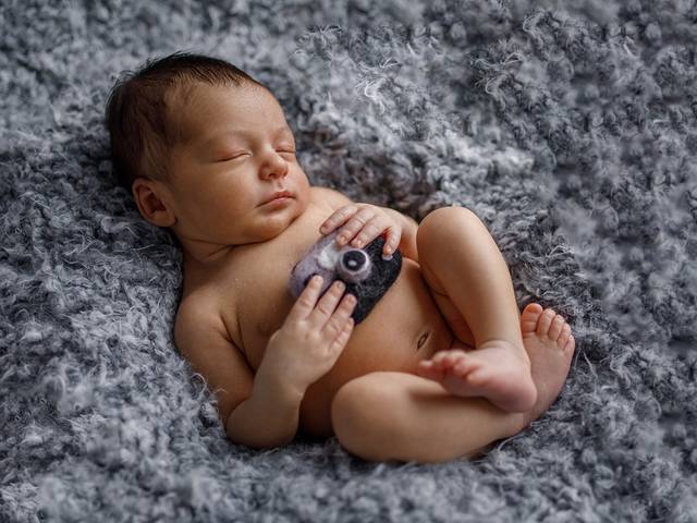 New Born de New Born Daniel