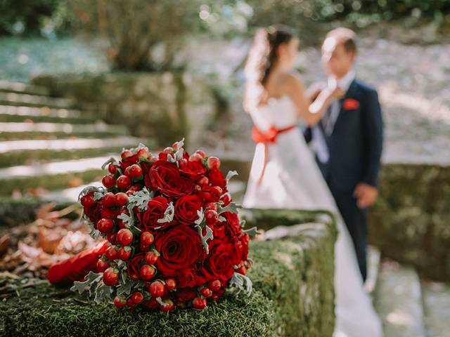 Casamentos de Andreia & Bruno