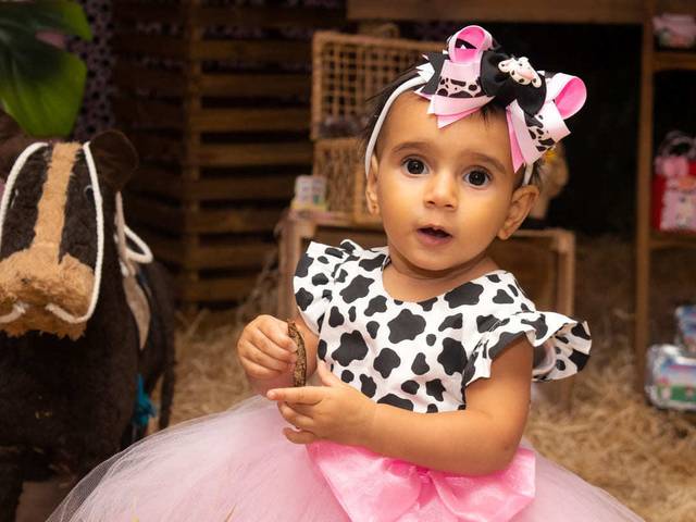 Festa Infantil de 1 Ano da Luiza