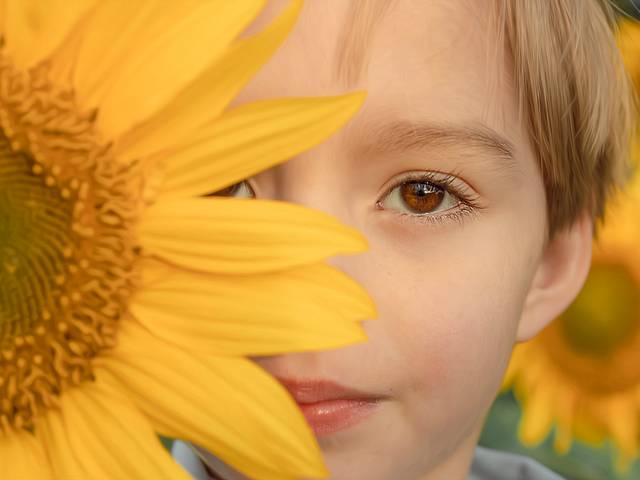 ensaio sonhos da infancia de A infância é rápida como a florada do Girassol