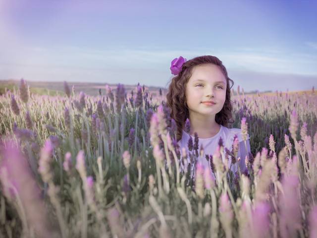 ensaio sonhos da infancia de uma flor no lavandário