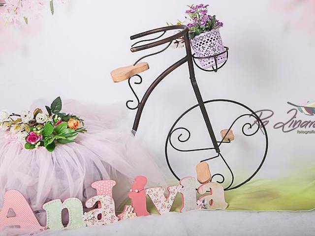 ACOMPANHAMENTO  de ACOMPANHAMENTO ANA LIVIA