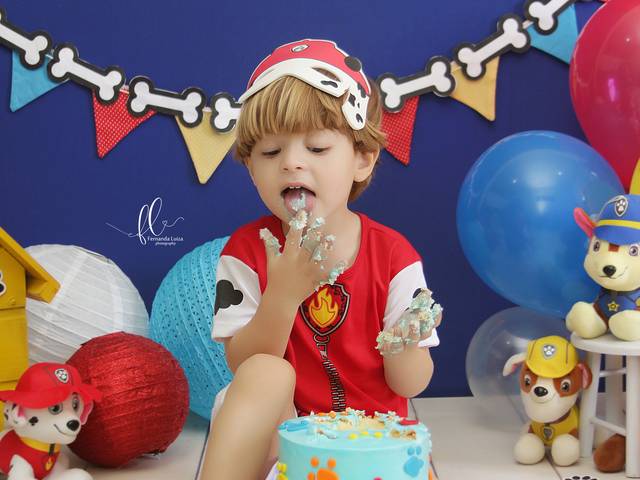 Smash The Cake  de Smash the Cake Patrulha Canina - Theo 