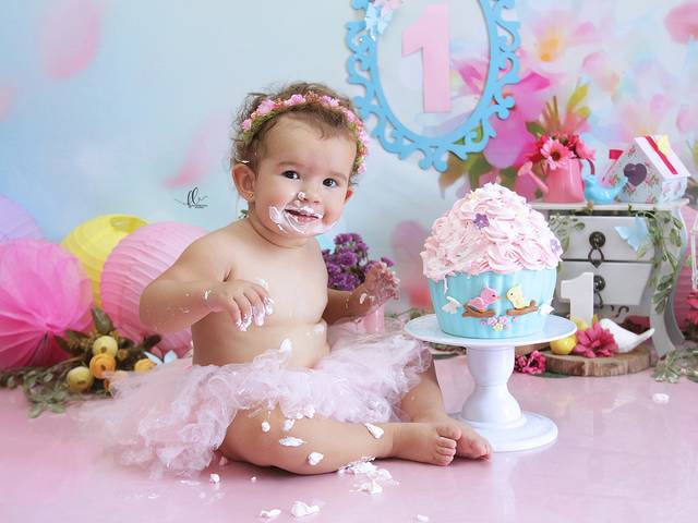 Smash The Cake  de Smash the Cake Jardim Encantado - Sofia