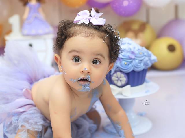 Smash The Cake  de Smash the Cake Princesinha Sofia - Valentina