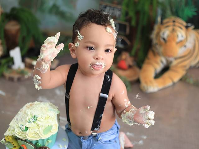 Smash The Cake  de Smash the Cake Safari - Gael