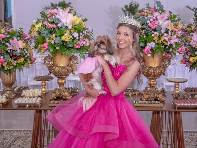 15 Anos  de Laura Tamiosso