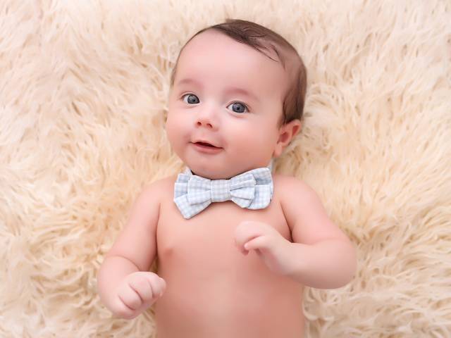 Acompanhamento de 3 meses do Noah