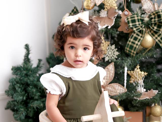 Mini sessão de Especial de Natal da Liz