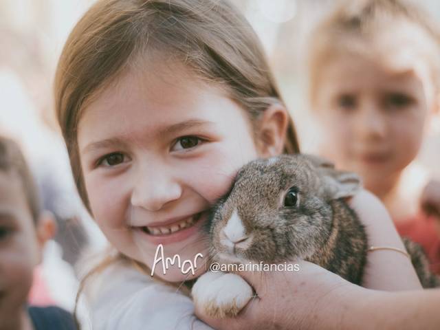 Escola de Fazendinha na Bambolê!