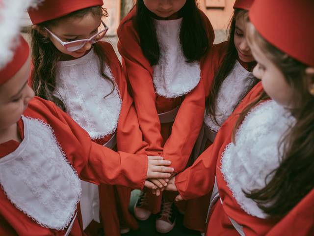 Escola de Prova de Toga Tartaruguinha Verde