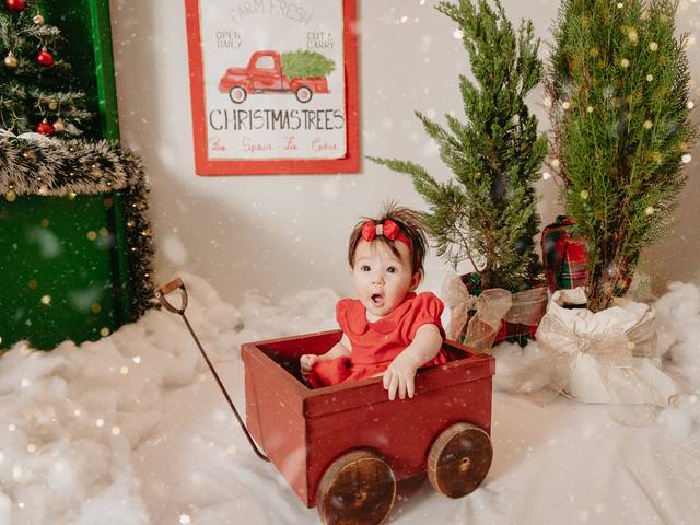 Temáticos de O Natal da Maria Alice