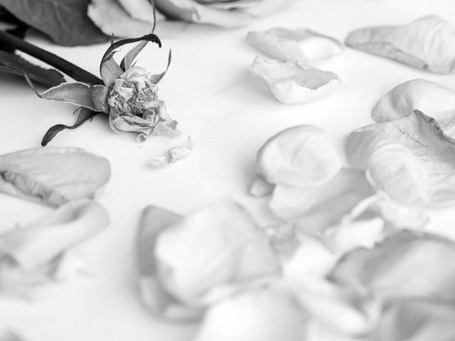 QUEM EU SOU? de MINHA VIDA É UM CONTO DE FALHAS?