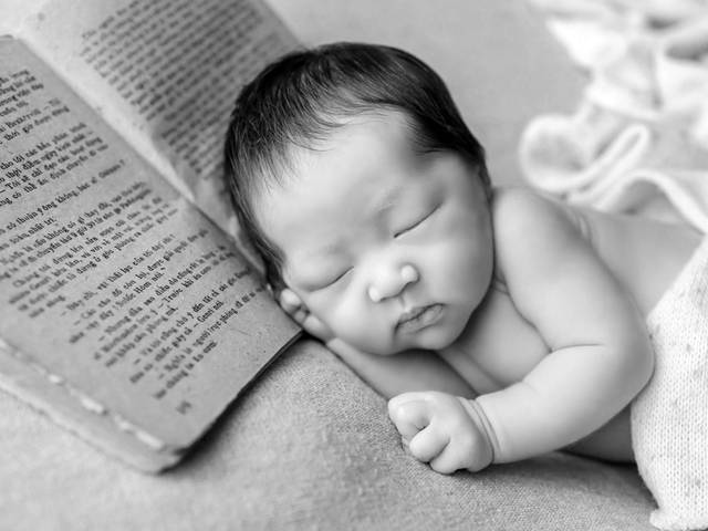 QUEM EU SOU? de UM CARNEIRINHO, DOIS CARNEIRINHOS, TRÊS CARNEIRINHOS...