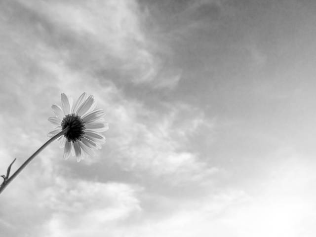 QUEM EU SOU? de A VIDA É PRECIOSA!