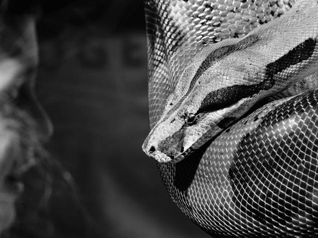 QUEM EU SOU? de NÃO É PARA QUEM SE CONTENTA COM MENTIRAS!