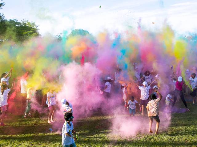 Festival de Festivais