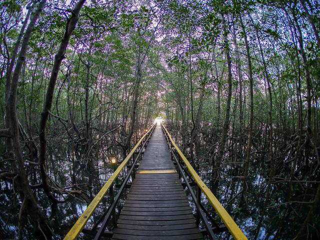 Ensaio de Nordeste - Brasil