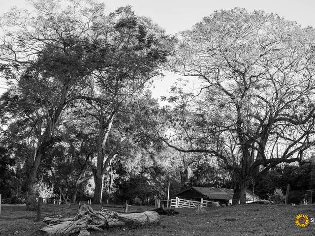 Artístico de Fotografias Artísticas