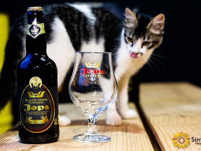 Comercial de Fotografias Comerciais