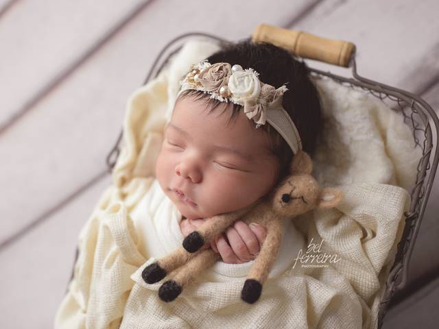 NEWBORN de Mentoria Newborn