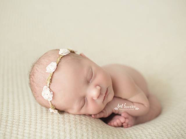 NEWBORN de Book Recém-nascido - Lis 