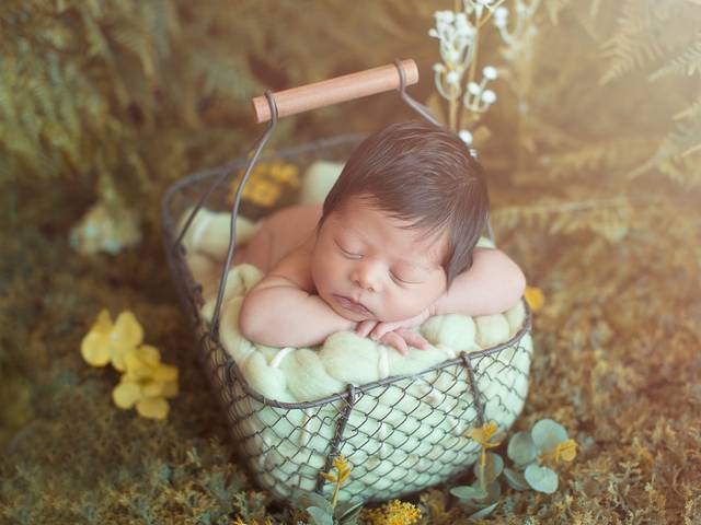 NEWBORN de Mentoria Em Abu Dhabi