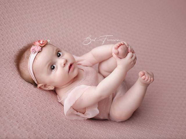 ACOMPANHAMENTO de Acompanhamento - Stella