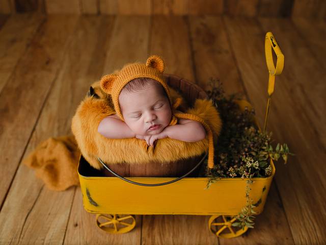 NEWBORN de Book Newborn Noah