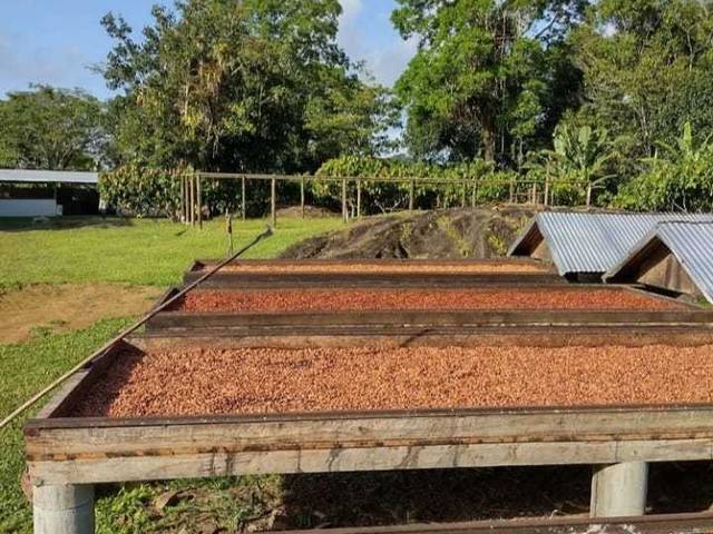 cliente de PASSEIO FAZENDA CAPELA VELHA