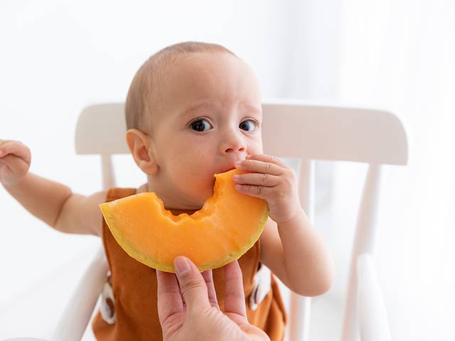 Acompanhamento de 6 meses Bento