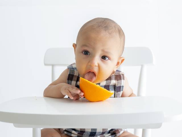 Acompanhamento de 6 Meses Bernardo