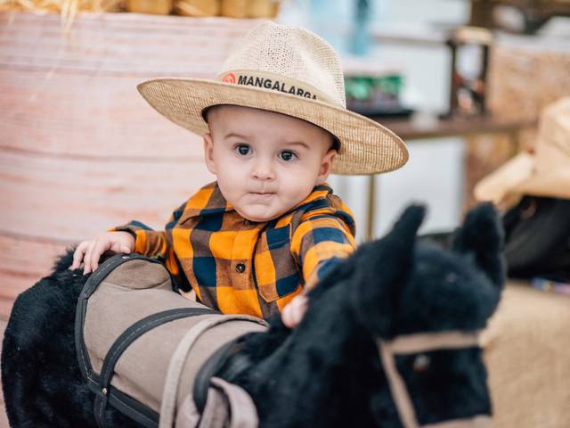 Aniversário Infantil de Aniversário Hugo Henrique - 1 Ano