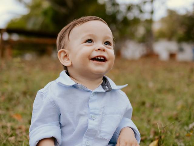 Familia de Henry - 01 Ano