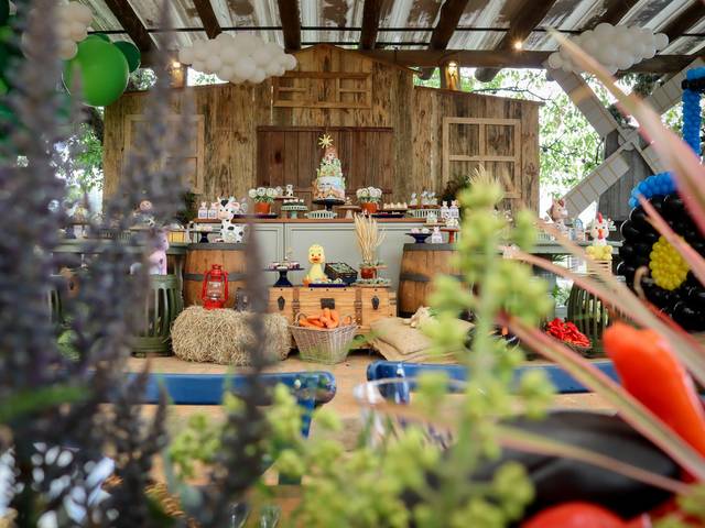 Aniversário  de  Miguel fez 1 ano 